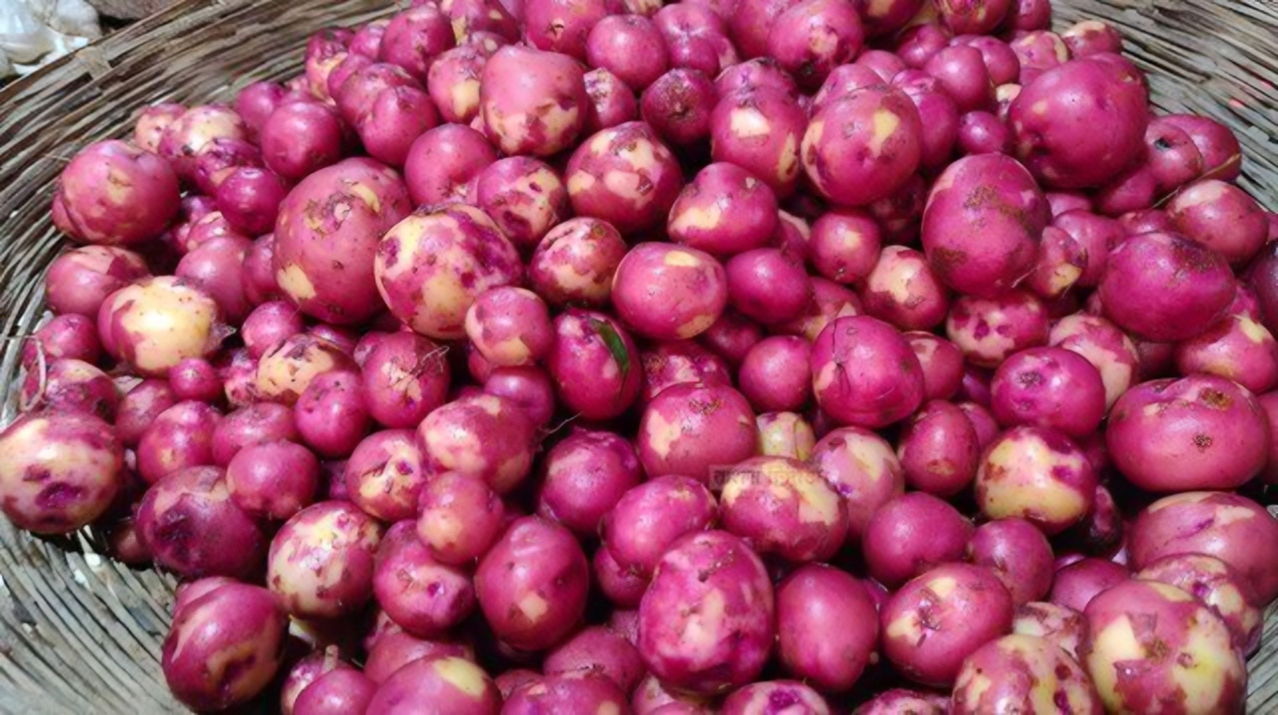 সাধারণ আলুর তুলনায় লাল আলুর উপকারিতা কতটা বেশি?